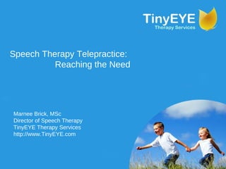 Speech Therapy Telepractice: Reaching the Need Marnee Brick, MSc Director of Speech Therapy TinyEYE Therapy Services http://www.TinyEYE.com 