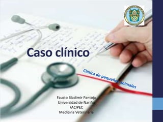 Caso clínico
Fausto Bladimir Pantoja
Universidad de Nariño
FACIPEC
Medicina Veterinaria
 