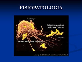 FISIOPATOLOGIA
Macrófago
Bactéria
Macrófago
Bactéria
 