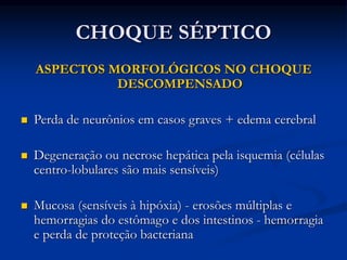 CHOQUE SÉPTICO
ASPECTOS MORFOLÓGICOS NO CHOQUE
DESCOMPENSADO
 Perda de neurônios em casos graves + edema cerebral
 Degeneração ou necrose hepática pela isquemia (células
centro-lobulares são mais sensíveis)
 Mucosa (sensíveis à hipóxia) - erosões múltiplas e
hemorragias do estômago e dos intestinos - hemorragia
e perda de proteção bacteriana
 