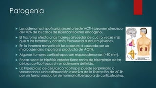 Patogenia
 Los adenomas hipofisarios secretores de ACTH suponen alrededor
del 70% de los casos de Hipercortisolismo endógeno.
 El trastorno afecta a las mujeres alrededor de cuatro veces más
que a los hombres y con más frecuencia a adultas jóvenes.
 En la inmensa mayoría de los casos está causado por un
microadenoma hipofisario productor de ACTH.
 Algunos tumores corticotropos son macroadenomas (>10 mm).
 Pocas veces la hipófisis anterior tiene zonas de hiperplasia de las
células corticotropas sin un adenoma definido.
 La hiperplasia de células corticotropas puede ser primaria o
secundaria a una estimulación excesiva de la liberación de ACTH
por un tumor productor de hormona liberadora de corticotropina.
 