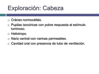 Exploración: Cabeza
 Cráneo normocéfalo.
 Pupilas isocóricas con pobre respuesta al estímulo
luminoso.
 Heliotropo.
 Nariz central con narinas permeables.
 Cavidad oral con presencia de tubo de ventilación.
 