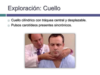 Exploración: Cuello
 Cuello cilíndrico con tráquea central y desplazable.
 Pulsos carotídeos presentes sincrónicos.
 