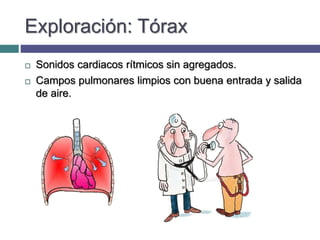 Exploración: Tórax
 Sonidos cardiacos rítmicos sin agregados.
 Campos pulmonares limpios con buena entrada y salida
de aire.
 