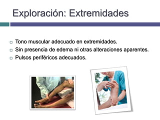 Exploración: Extremidades
 Tono muscular adecuado en extremidades.
 Sin presencia de edema ni otras alteraciones aparentes.
 Pulsos periféricos adecuados.
 