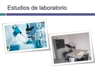 Estudios de laboratorio
 