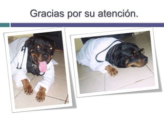 Gracias por su atención.
 