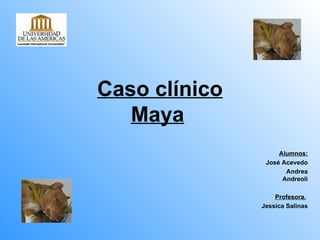 Caso clínico Maya   Alumnos: José Acevedo Andrea Andreoli Profesora.   Jessica Salinas 