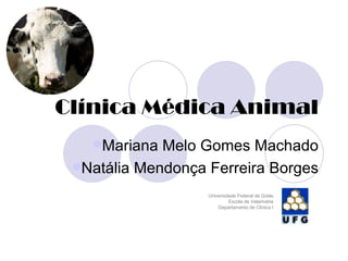 Clínica Médica Animal ,[object Object],[object Object],Universidade Federal de Goiás Escola de Veterinária Departamento de Clínica I 