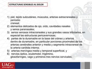 1) piel, tejido subcutáneo, músculos, arterias extracraneales y
periostio
craneal;
2) elementos delicados de ojo, oído, cavidades nasales
y senos paranasales;
3) senos venosos intracraneales y sus grandes vasos tributarios, en
especial las estructuras pericavernosas;
4) partes de la duramadre en la base del cráneo y arterias
dentro de duramadre, en particular porciones proximales de las
arterias cerebrales anterior y media y segmento intracraneal de
la arteria carótida interna;
5) arterias meníngea media y temporal superficial, y
6) nervios óptico, oculomotor, trigémino,
glosofaríngeo, vago y primeros tres nervios cervicales.
ESTRUCTURAS SENSIBLES AL DOLOR
 