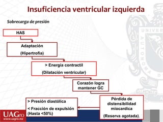 Insuficiencia ventricular izquierda
HAS
Adaptación
(Hipertrofia)
> Energía contractil
(Dilatación ventricular)
Corazón logra
mantener GC
> Presión diastólica
< Fracción de expulsión
(Hasta <50%)
Pérdida de
distensibilidad
miocardica
(Reserva agotada).
Sobrecarga de presión
 