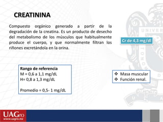 CREATININA
Compuesto orgánico generado a partir de la
degradación de la creatina. Es un producto de desecho
del metabolismo de los músculos que habitualmente
produce el cuerpo, y que normalmente filtran los
riñones excretándola en la orina.
Rango de referencia
M = 0,6 a 1,1 mg/dL
H= 0,8 a 1,3 mg/dL
Promedio = 0,5- 1 mg/dL
Cr de 4,3 mg/dl
 Masa muscular
 Función renal.
 