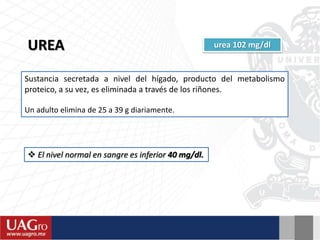 UREA urea 102 mg/dl
Sustancia secretada a nivel del hígado, producto del metabolismo
proteico, a su vez, es eliminada a través de los riñones.
Un adulto elimina de 25 a 39 g diariamente.
 El nivel normal en sangre es inferior 40 mg/dl.
 