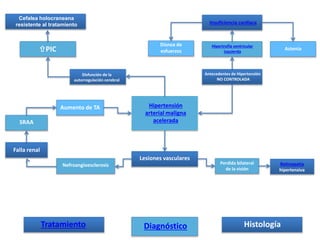 Hipertensión
arterial maligna
acelerada
Disfunción de la
autorregulación cerebral
PIC
Cefalea holocraneana
resistente al tratamiento
Antecedentes de Hipertensión
NO CONTROLADA
Hipertrofia ventricular
izquierda
Astenia
Disnea de
esfuerzos
Insuficiencia cardiaca
Aumento de TA
SRAA
Falla renal
Nefroangioesclerosis
Lesiones vasculares
Perdida bilateral
de la visión
Retinopatía
hipertensiva
DiagnósticoTratamiento Histología
 