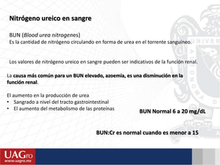 Nitrógeno ureico en sangre
BUN (Blood urea nitrogenes)
Es la cantidad de nitrógeno circulando en forma de urea en el torrente sanguíneo.
Los valores de nitrógeno ureico en sangre pueden ser indicativos de la función renal.
La causa más común para un BUN elevado, azoemia, es una disminución en la
función renal.
El aumento en la producción de urea
• Sangrado a nivel del tracto gastrointestinal
• El aumento del metabolismo de las proteínas
BUN:Cr es normal cuando es menor a 15
BUN Normal 6 a 20 mg/dL
 