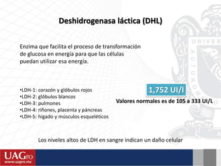 Deshidrogenasa láctica (DHL)
1,752 UI/l
Valores normales es de 105 a 333 UI/L
Enzima que facilita el proceso de transformación
de glucosa en energía para que las células
puedan utilizar esa energía.
Los niveles altos de LDH en sangre indican un daño celular
•LDH-1: corazón y glóbulos rojos
•LDH-2: glóbulos blancos
•LDH-3: pulmones
•LDH-4: riñones, placenta y páncreas
•LDH-5: hígado y músculos esqueléticos
 
