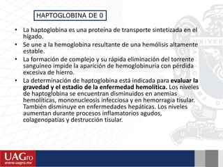 • La haptoglobina es una proteína de transporte sintetizada en el
hígado.
• Se une a la hemoglobina resultante de una hemólisis altamente
estable.
• La formación de complejo y su rápida eliminación del torrente
sanguíneo impide la aparición de hemoglobinuria con pérdida
excesiva de hierro.
• La determinación de haptoglobina está indicada para evaluar la
gravedad y el estadio de la enfermedad hemolítica. Los niveles
de haptoglobina se encuentran disminuidos en anemias
hemolíticas, mononucleosis infecciosa y en hemorragia tisular.
También disminuye en enfermedades hepáticas. Los niveles
aumentan durante procesos inflamatorios agudos,
colagenopatías y destrucción tisular.
HAPTOGLOBINA DE 0
 