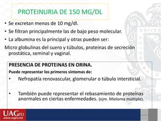 PROTEINURIA DE 150 MG/DL
• Se excretan menos de 10 mg/dl.
• Se filtran principalmente las de bajo peso molecular.
• La albumina es la principal y otras pueden ser:
Micro globulinas del suero y túbulos, proteinas de secreción
prostática, seminal y vaginal.
PRESENCIA DE PROTEINAS EN ORINA.
Puede representar los primeros síntomas de:
• Nefropatía renovascular, glomerular o túbulo intersticial.
• También puede representar el rebasamiento de proteínas
anormales en ciertas enfermedades. (ejm. Mieloma múltiple).
 