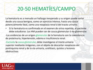 20-50 HEMATÍES/CAMPO
La hematuria es a menudo un hallazgo inesperado y su origen puede variar
desde una causa benigna, como un ejercicio intenso, hasta una causa
potencialmente fatal, como una neoplasia renal ó del tracto urinario.
• Si la hematuria es confirmada en el examen de orina repetido, el paciente
debe estudiarse. Las HM pueden ser de causa glomerular ó no-glomerular.
-Las evidencias de un origen glomerular de la hematuria son la coexistencia
de proteinuria, hipertensión, edema e insuficiencia renal.
-Excluida la causa glomerular, debe investigarse el tracto urinario
superior mediante imágenes, con el objeto de descartar neoplasias del
parénquima renal y de la vía urinaria, urolitiasis, quistes y lesiones
obstructivas
 