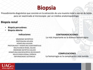 Biopsia
Procedimiento diagnóstico que consiste en la extracción de una muestra total o parcial de tejido
para ser examinada al microscopio por un médico anatomopatólogo.
Biopsia renal
Indicaciones
SÍNDROME NEFRÓTICO
PROTEINURIA AISLADA
HEMATURIA AISLADA
PROTEINURIA Y HEMATURIA ASINTOMÁTICAS
INSUFICIENCIA RENAL AGUDA
SÍNDROME NEFRÍTICO AGUDO
HEMATURIA MACROSCÓPICA RECIDIVANTE
INSUFICIENCIA RENAL CRÓNICA
ENFERMEDADES SISTÉMICAS
CONTRAINDICACIONES
La más importante es la diátesis hemorrágica
COMPLICACIONES
La hemorragia es la complicación más temida
• Biopsia percutánea:
• Biopsia abierta
 