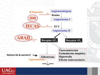 Retiene Na & excreta K
 