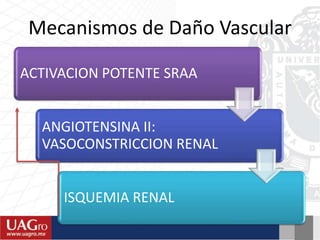 Mecanismos de Daño Vascular
ACTIVACION POTENTE SRAA
ANGIOTENSINA II:
VASOCONSTRICCION RENAL
ISQUEMIA RENAL
 