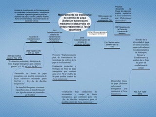 Estudio de libertad de operación para líneas transgénicas de papa y de arroz hechas en Colombia: Avances 