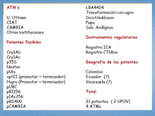 Estudio de libertad de operación para líneas transgénicas de papa y de arroz hechas en Colombia: Avances 