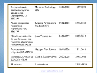 Estudio de libertad de operación para líneas transgénicas de papa y de arroz hechas en Colombia: Avances 