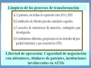 Estudio de libertad de operación para líneas transgénicas de papa y de arroz hechas en Colombia: Avances 
