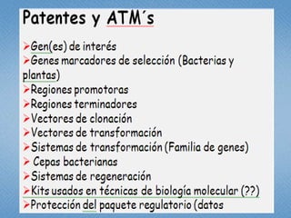 Estudio de libertad de operación para líneas transgénicas de papa y de arroz hechas en Colombia: Avances 