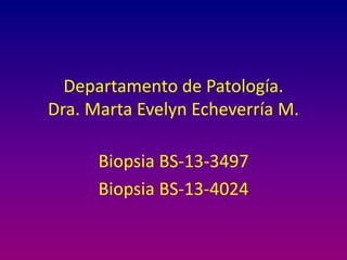 Departamento de Patología.
Dra. Marta Evelyn Echeverría M.
Biopsia BS-13-3497
Biopsia BS-13-4024
 