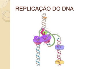 REPLICAÇÃO DO DNA
 
