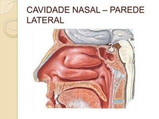 CAVIDADE NASAL – PAREDE
LATERAL
 