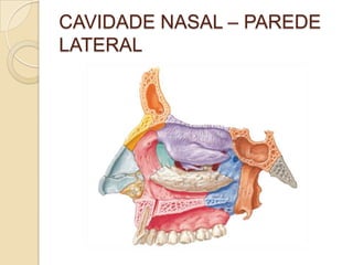 CAVIDADE NASAL – PAREDE
LATERAL
 
