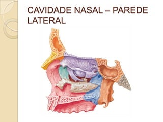 CAVIDADE NASAL – PAREDE
LATERAL
 