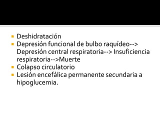 





Deshidratación
Depresión funcional de bulbo raquídeo-->
Depresión central respiratoria--> Insuficiencia
respiratoria-->Muerte
Colapso circulatorio
Lesión encefálica permanente secundaria a
hipoglucemia.

 