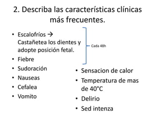 2. Describa las características clínicas
más frecuentes.
• Sensacion de calor
• Temperatura de mas
de 40°C
• Delirio
• Sed intenza
• Escalofríos 
Castañetea los dientes y
adopte posición fetal.
• Fiebre
• Sudoración
• Nauseas
• Cefalea
• Vomito
Cada 48h
 