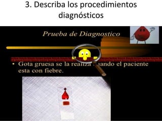 3. Describa los procedimientos
diagnósticos
 