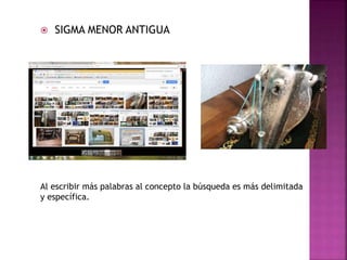  SIGMA MENOR ANTIGUA
Al escribir más palabras al concepto la búsqueda es más delimitada
y específica.
 
