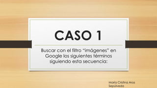 CASO 1
Buscar con el filtro “imágenes” en
Google los siguientes términos
siguiendo esta secuencia:
María Cristina Aros
Sepúlveda
 
