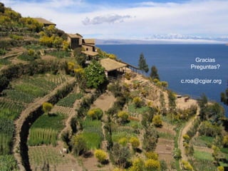 Los derechos de propiedad intelectual                 (patentes y PVPs) en el desarrollo agrícola de Perú, Colombia y Bolivia.