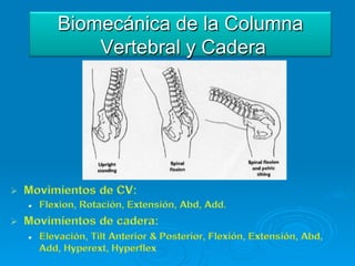 Biomecánica de la Columna
    Vertebral y Cadera
 