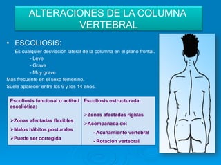 ALTERACIONES DE LA COLUMNA
                  VERTEBRAL
•  ESCOLIOSIS:
   Es cualquier desviación lateral de la columna en el plano frontal.
          - Leve
          - Grave
          - Muy grave
Más frecuente en el sexo femenino.
Suele aparecer entre los 9 y los 14 años.

 Escoliosis funcional o actitud Escoliosis estructurada:
 escoliótica:
                                   Ø Zonas afectadas rígidas
 Ø Zonas afectadas flexibles
                                   Ø Acompañada de:
 Ø Malos hábitos posturales
                                        - Acuñamiento vertebral
 Ø Puede ser corregida
                                        - Rotación vertebral
 