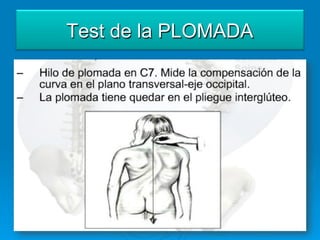 Test de la PLOMADA
 