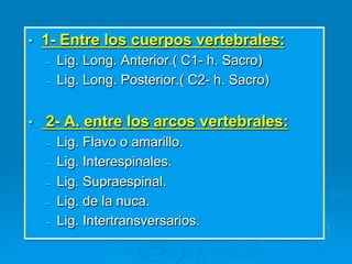 •    1- Entre los cuerpos vertebrales:
     –    Lig. Long. Anterior.( C1- h. Sacro)
     –    Lig. Long. Posterior.( C2- h. Sacro)


•    2- A. entre los arcos vertebrales:
     –    Lig. Flavo o amarillo.
     –    Lig. Interespinales.
     –    Lig. Supraespinal.
     –    Lig. de la nuca.
     –    Lig. Intertransversarios.
 