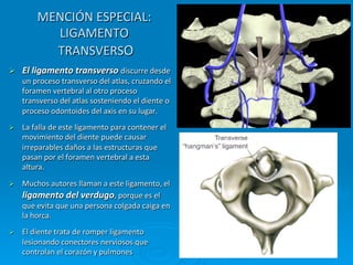 MENCIÓN	
  ESPECIAL:	
  
              LIGAMENTO	
  
              TRANSVERSO    	
  
Ø    El	
  ligamento	
  transverso	
  discurre	
  desde	
  
      un	
  proceso	
  transverso	
  del	
  atlas,	
  cruzando	
  el	
  
      foramen	
  vertebral	
  al	
  otro	
  proceso	
  
      transverso	
  del	
  atlas	
  sosteniendo	
  el	
  diente	
  o	
  
      proceso	
  odontoides	
  del	
  axis	
  en	
  su	
  lugar.	
  
Ø    La	
  falla	
  de	
  este	
  ligamento	
  para	
  contener	
  el	
  
      movimiento	
  del	
  diente	
  puede	
  causar	
  
      irreparables	
  daños	
  a	
  las	
  estructuras	
  que	
  
      pasan	
  por	
  el	
  foramen	
  vertebral	
  a	
  esta	
  
      altura.	
  
Ø    Muchos	
  autores	
  llaman	
  a	
  este	
  ligamento,	
  el	
  
      ligamento	
  del	
  verdugo,	
  porque	
  es	
  el	
  
      que	
  evita	
  que	
  una	
  persona	
  colgada	
  caiga	
  en	
  
      la	
  horca.	
  
Ø    El	
  diente	
  trata	
  de	
  romper	
  ligamento	
  
      lesionando	
  conectores	
  nerviosos	
  que	
  
      controlan	
  el	
  corazón	
  y	
  pulmones	
  
 