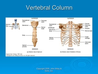 Vertebral Column




   Copyright 2009, John Wiley &
            Sons, Inc.
 