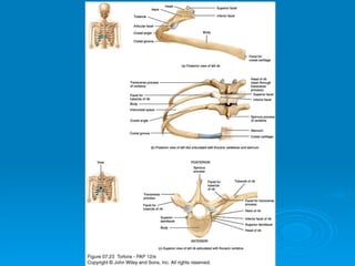 Copyright 2009, John Wiley &
         Sons, Inc.
 