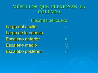 MÚSCULOS QUE FLEXIONAN LA
           COLUMNA
             Flexores del cuello
Largo del cuello               L
Largo de la cabeza
Escaleno anterior              A
Escaleno medio                 M
Escalebo posterior             P
 